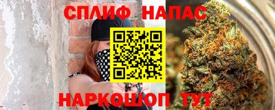 СК Ставрополь