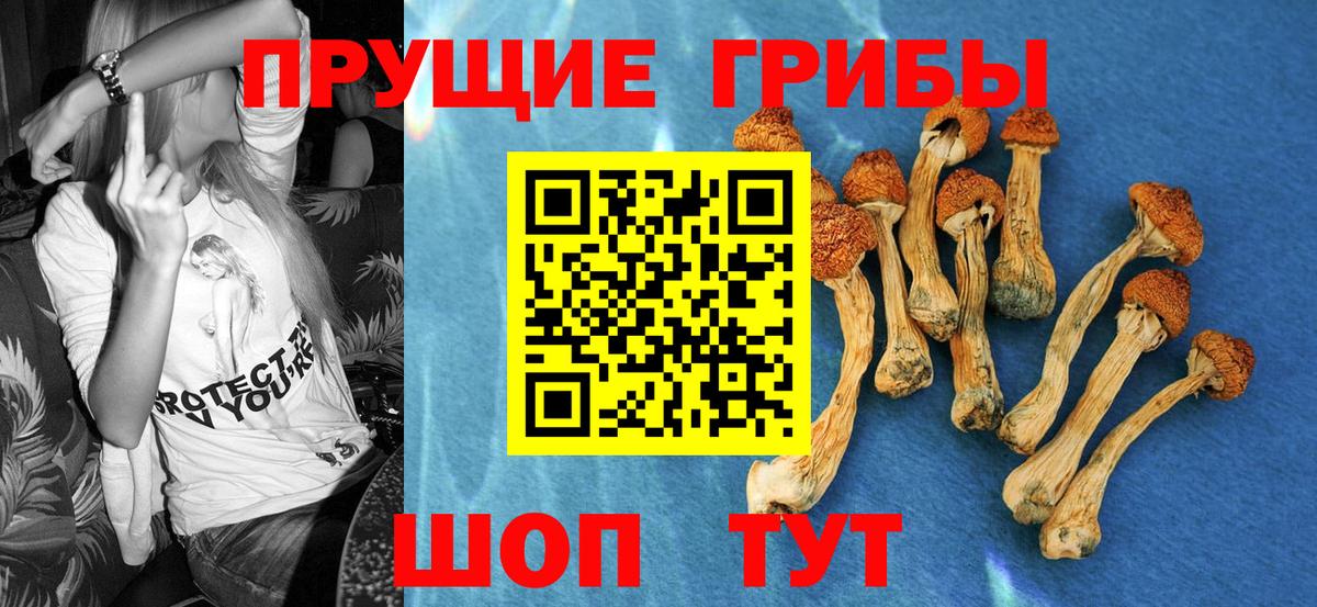 Псилоцибиновые грибы ЛСД  Вход с VPN  Нижний Новгород  где найти наркотики  Галлюциногенные грибы ЛСД 