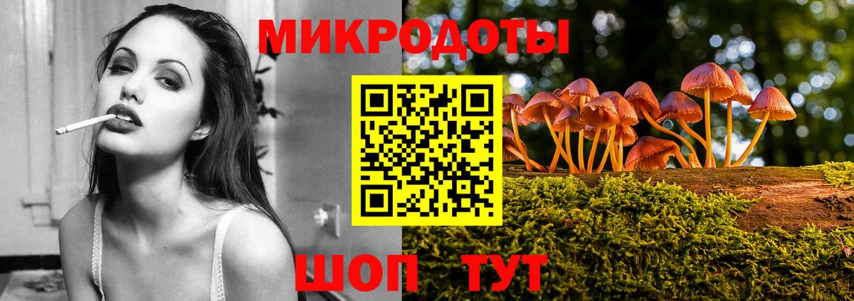 Псилоцибиновые грибы Cubensis Нижний Новгород